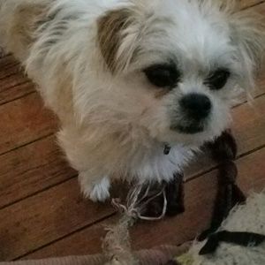 Meet your Posher, Melody